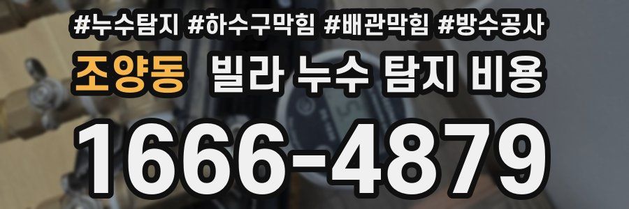 조양동 빌라 누수 탐지 비용