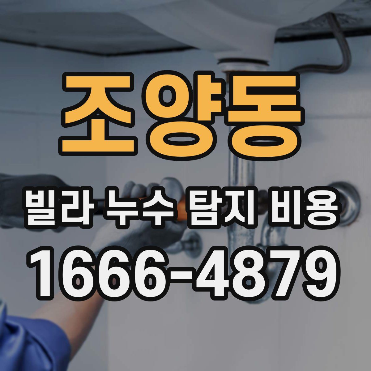 조양동 빌라 누수 탐지 비용