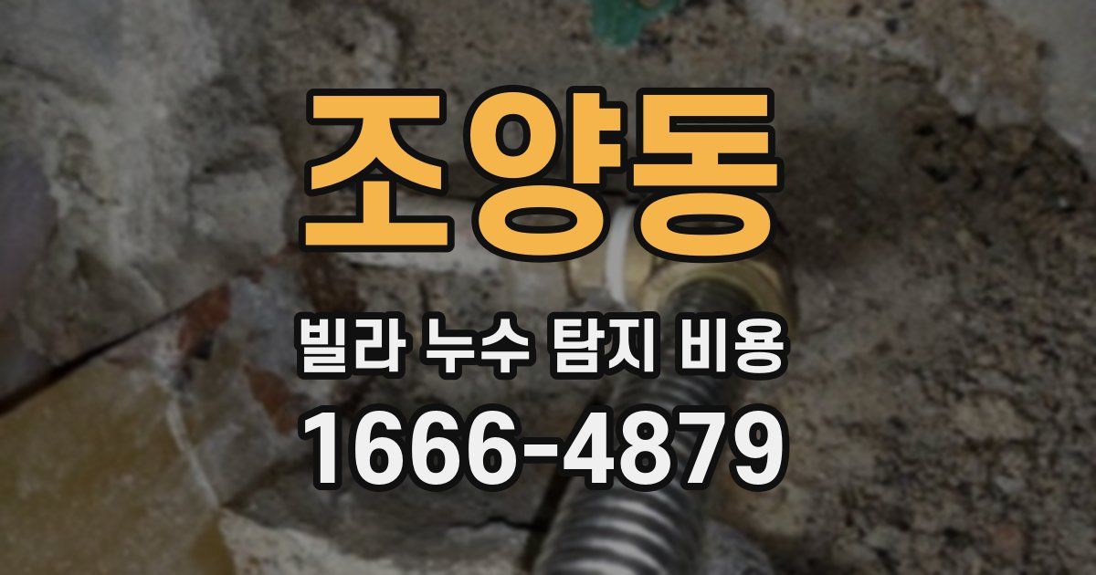 조양동 빌라 누수 탐지 비용