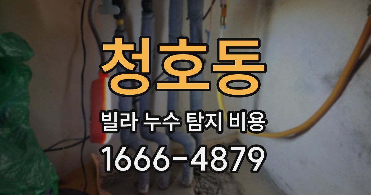 청호동 빌라 누수 탐지 비용