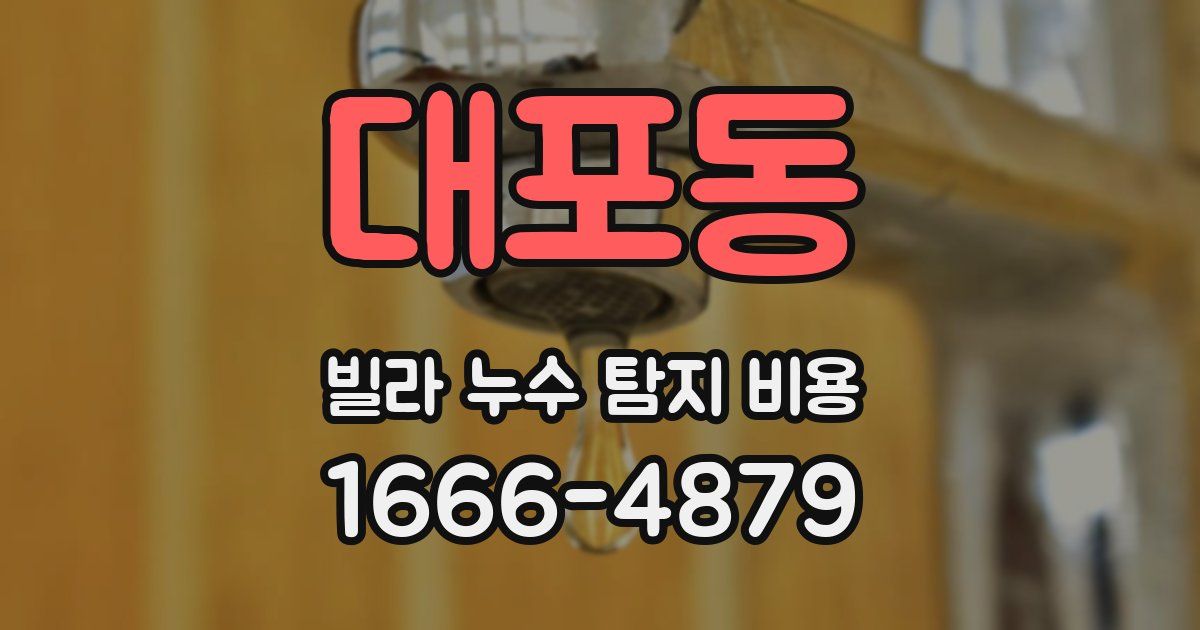 대포동 빌라 누수 탐지 비용