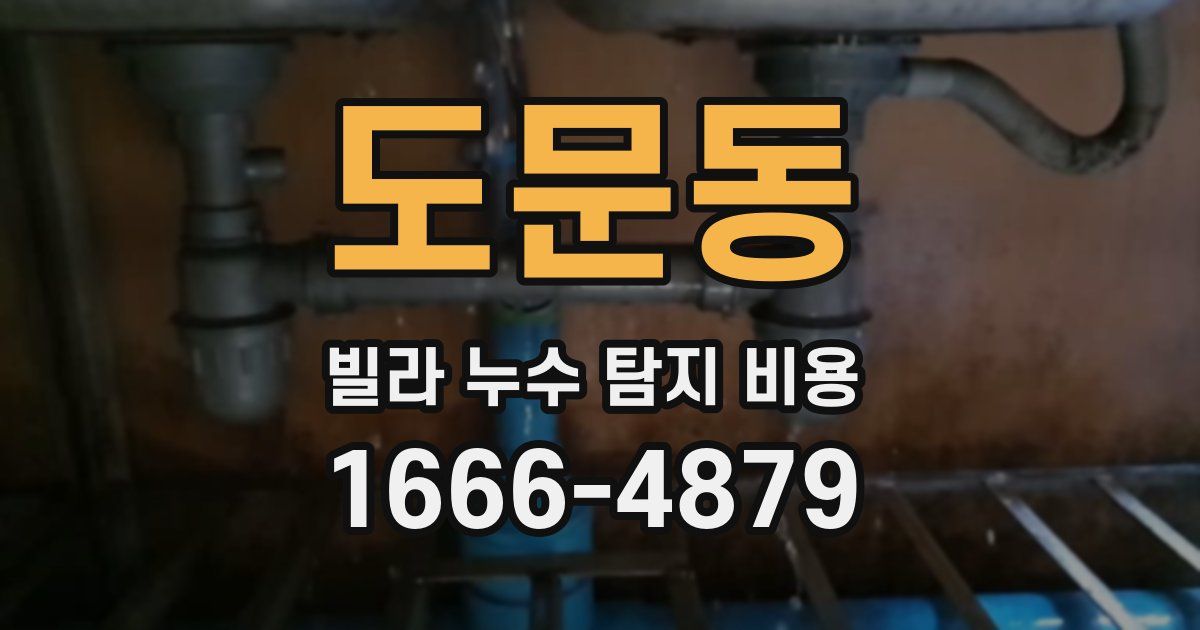 도문동 빌라 누수 탐지 비용
