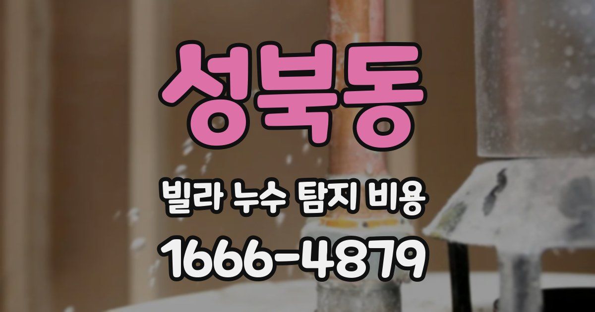 성북동 빌라 누수 탐지 비용