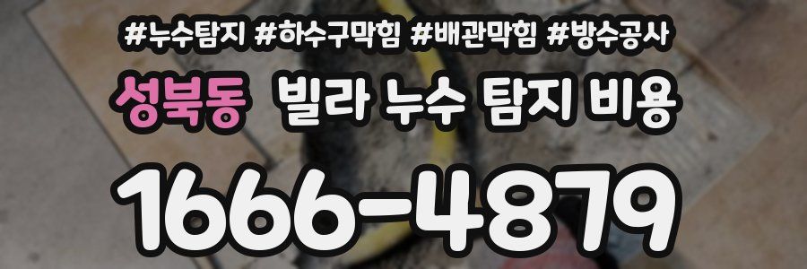 성북동 빌라 누수 탐지 비용