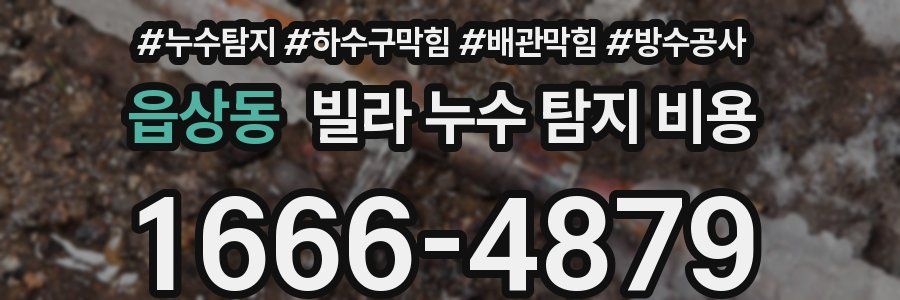 읍상동 빌라 누수 탐지 비용