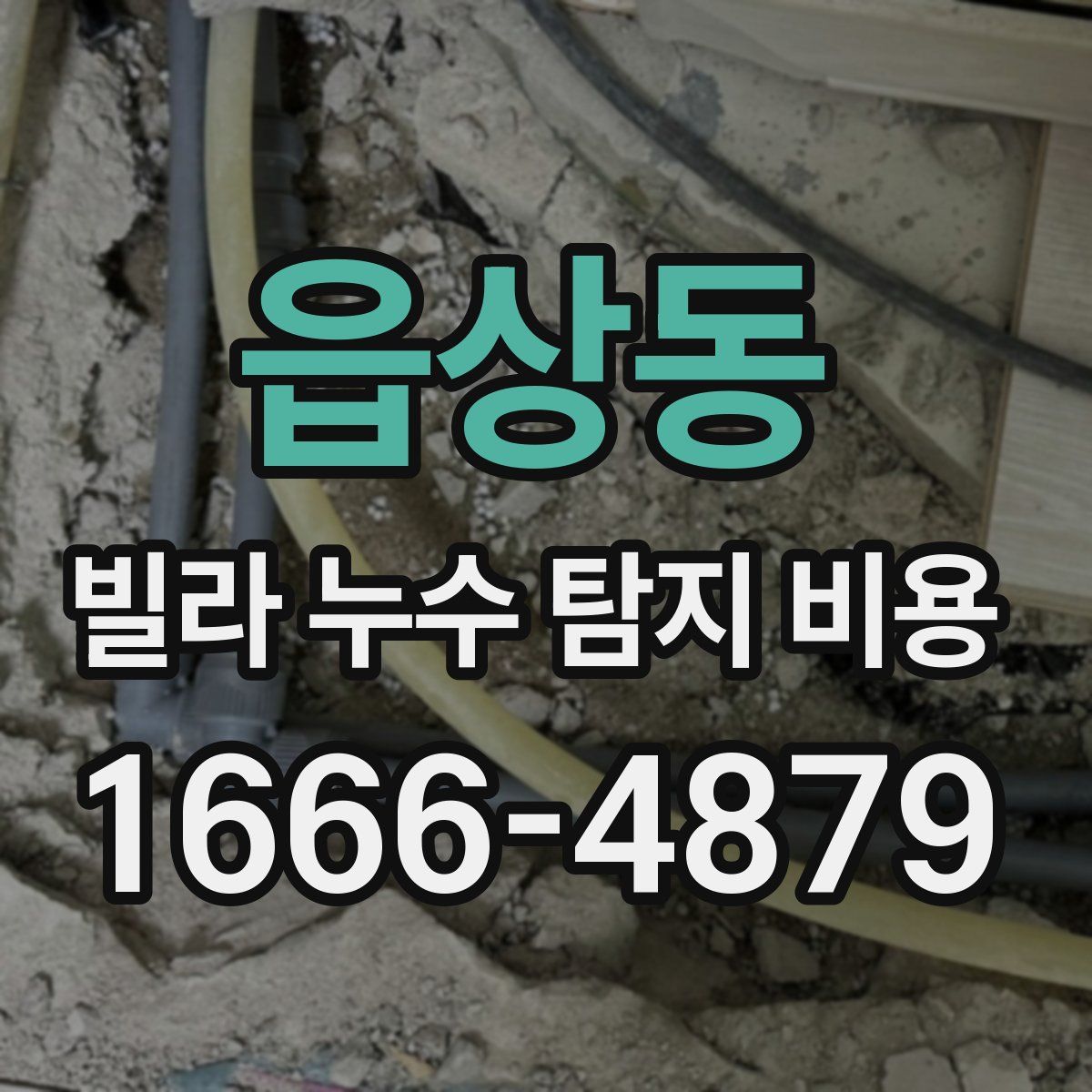 읍상동 빌라 누수 탐지 비용