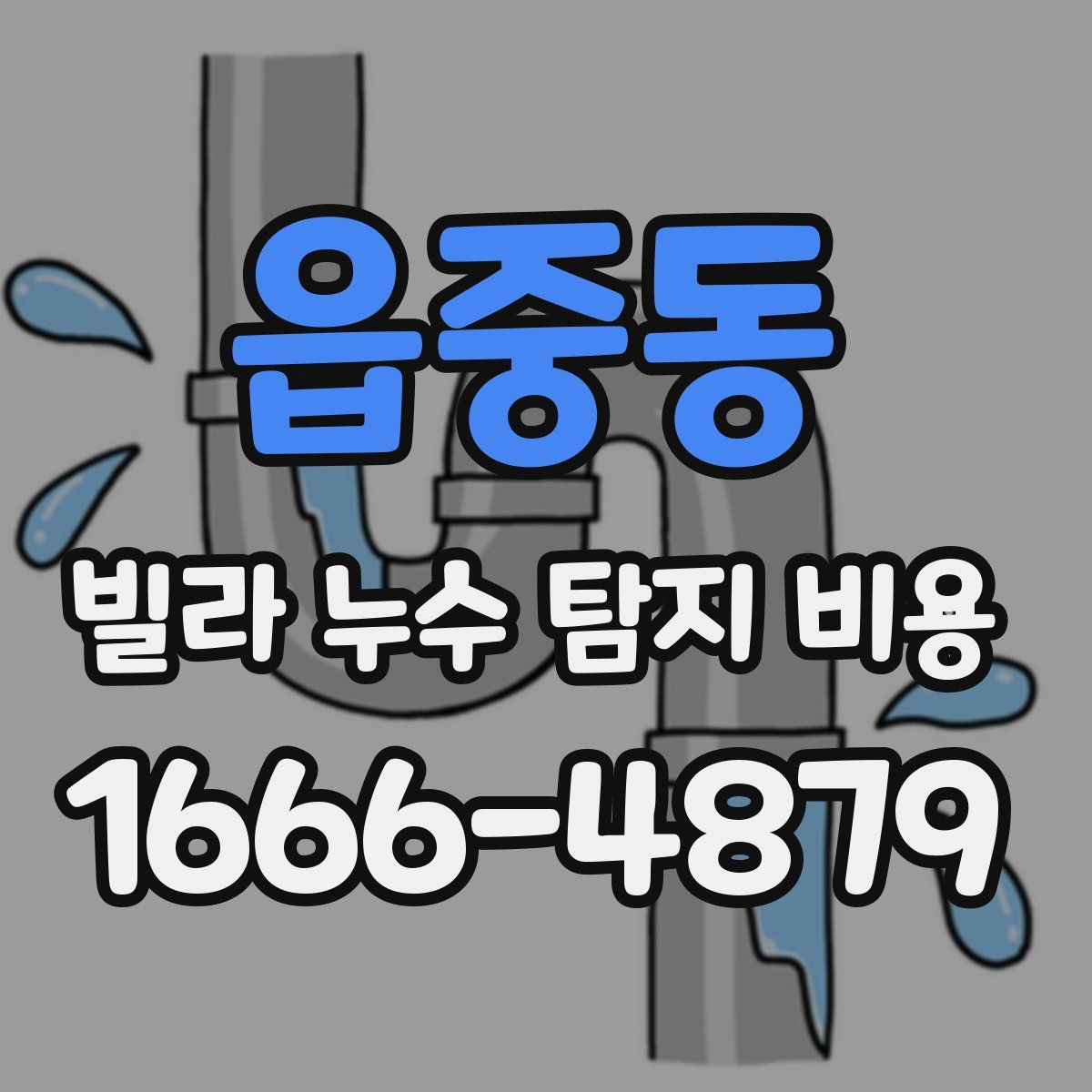 읍중동 빌라 누수 탐지 비용