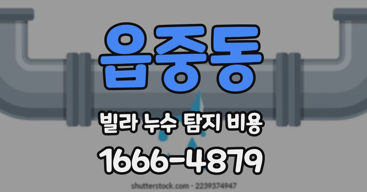 읍중동 빌라 누수 탐지 비용