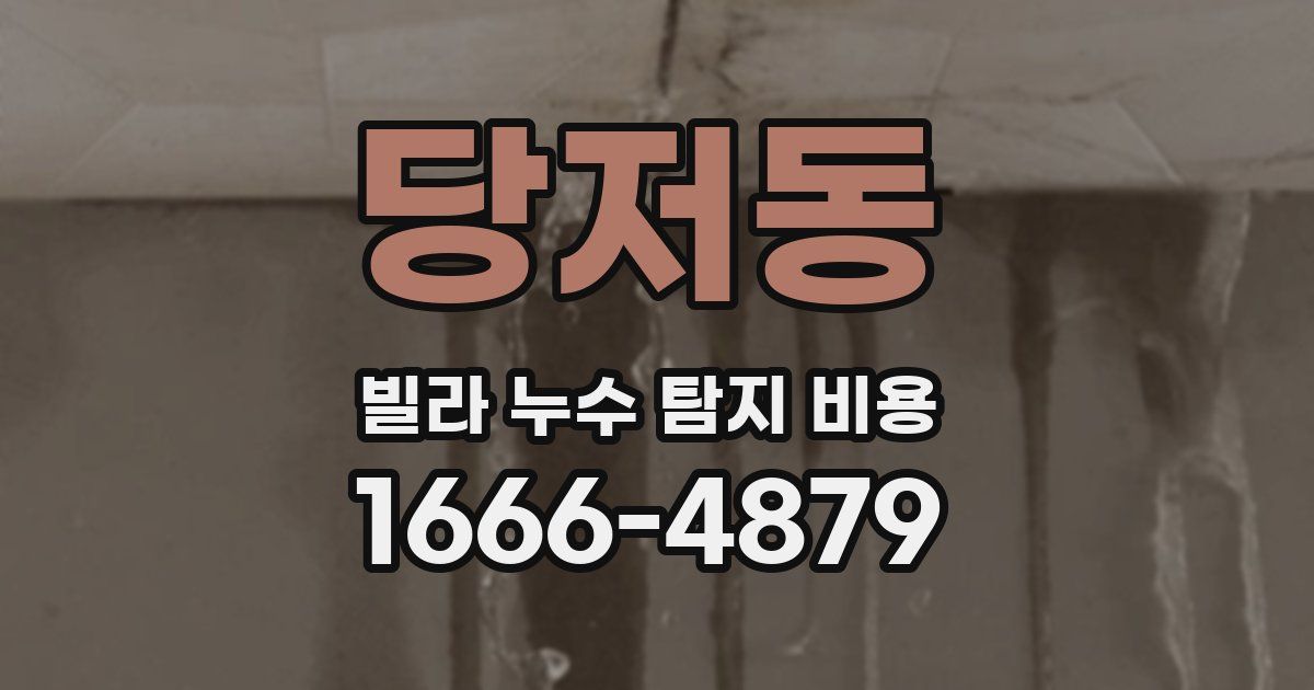 당저동 빌라 누수 탐지 비용
