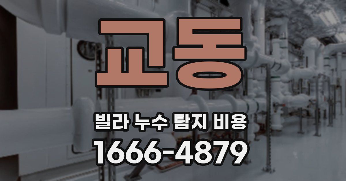 교동 빌라 누수 탐지 비용