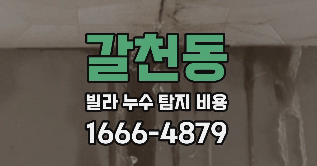 갈천동 빌라 누수 탐지 비용