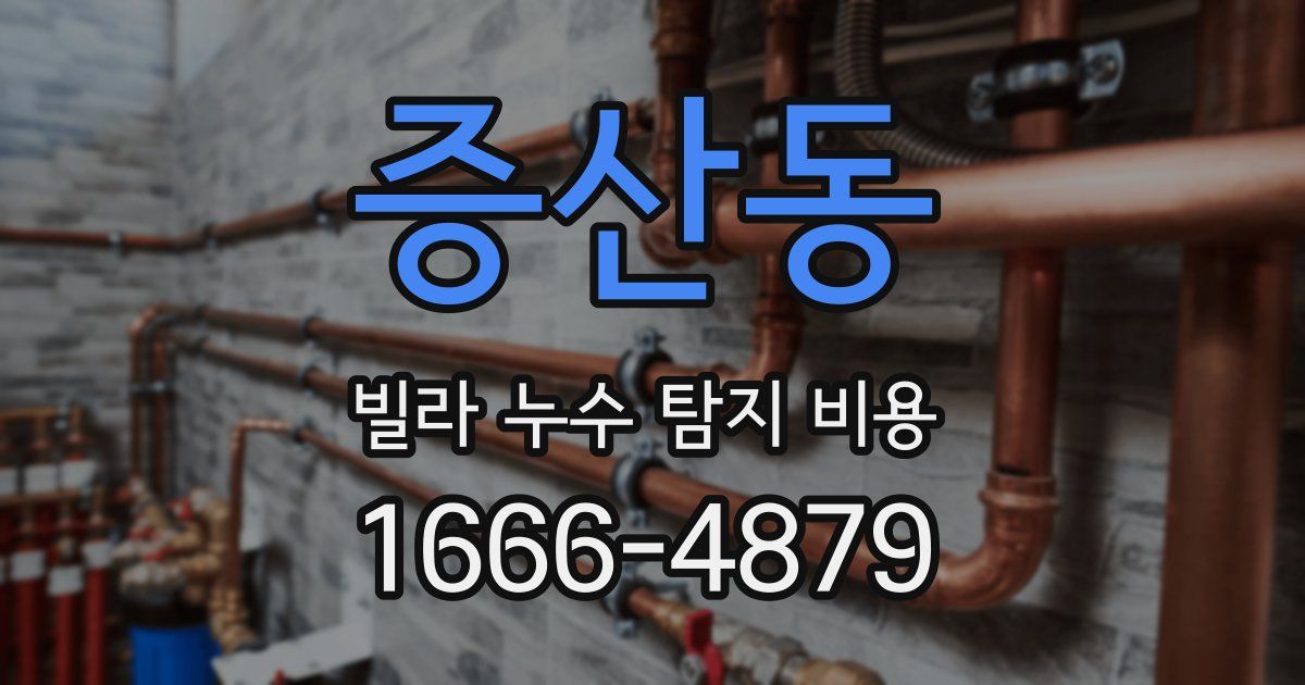 증산동 빌라 누수 탐지 비용
