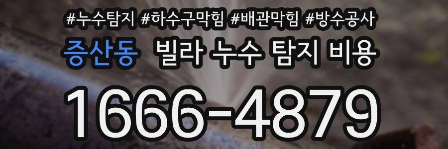 증산동 빌라 누수 탐지 비용