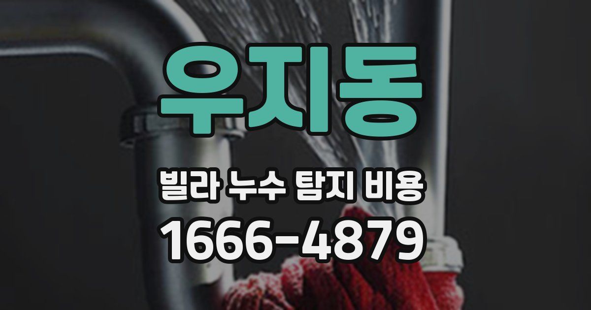 우지동 빌라 누수 탐지 비용