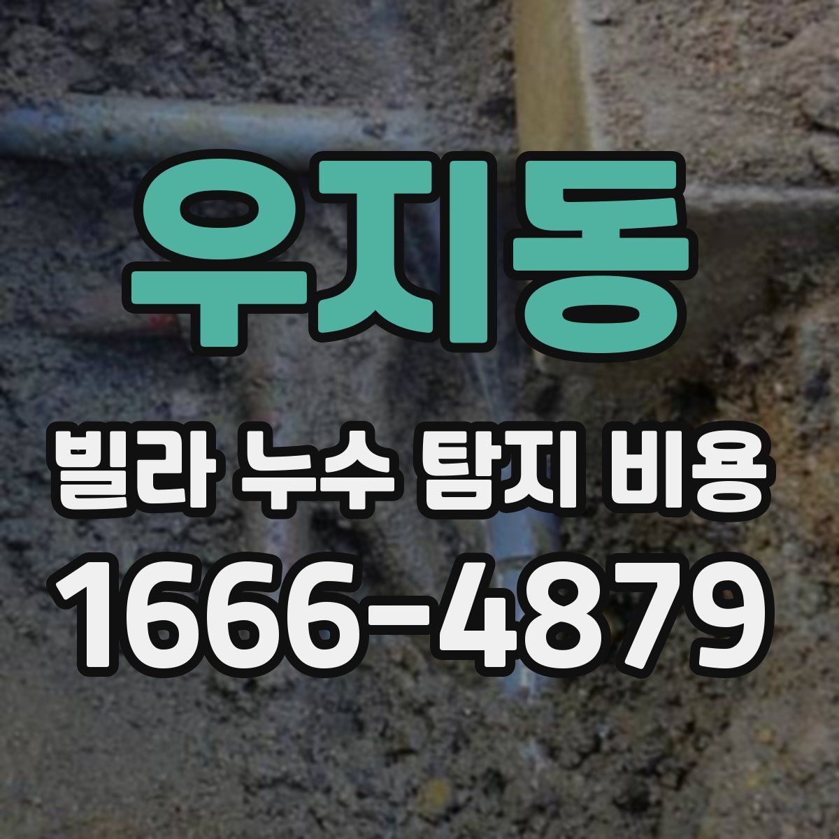 우지동 빌라 누수 탐지 비용