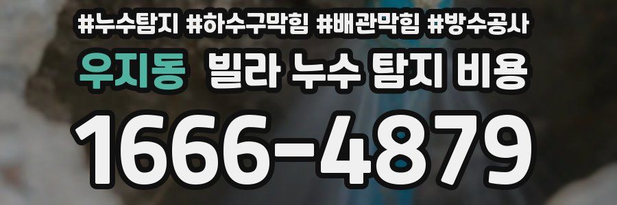 우지동 빌라 누수 탐지 비용