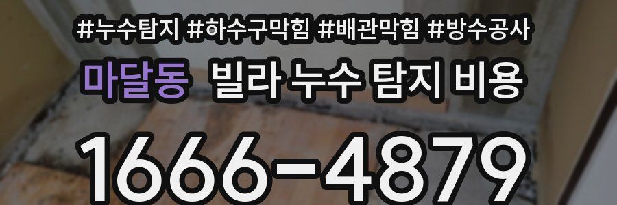 마달동 빌라 누수 탐지 비용