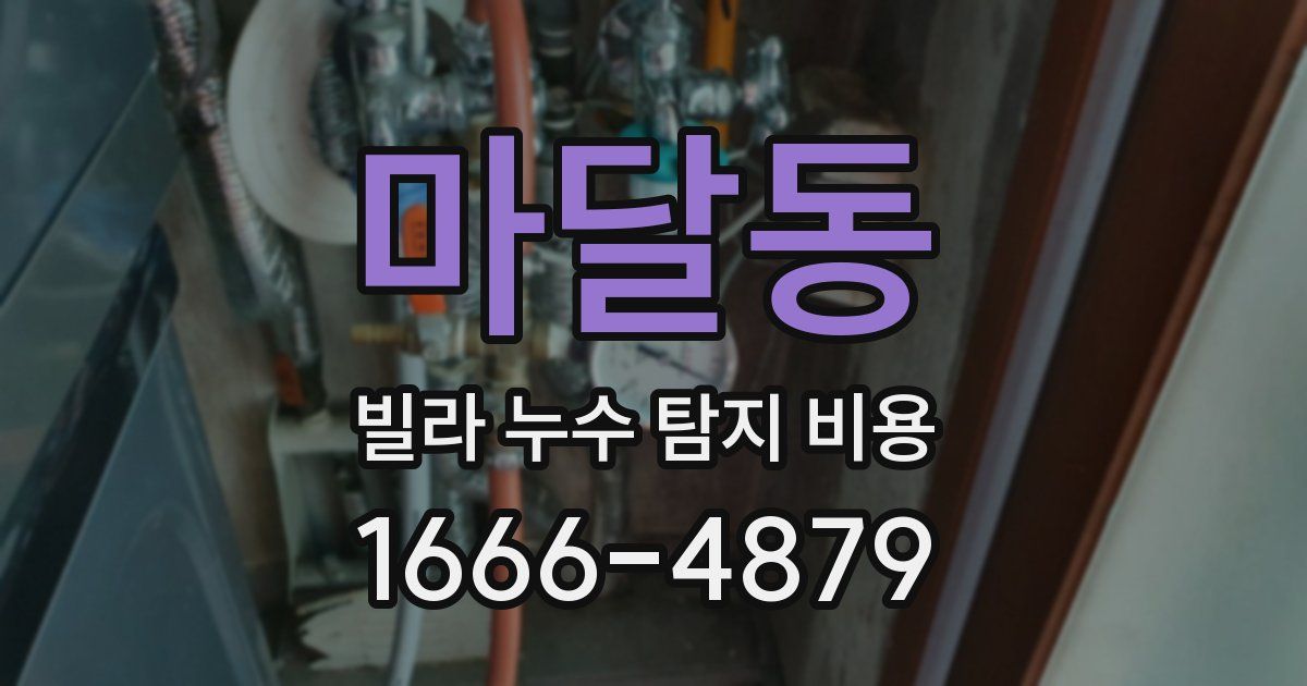 마달동 빌라 누수 탐지 비용