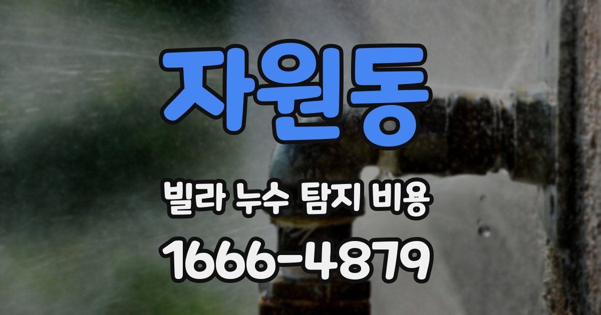 자원동 빌라 누수 탐지 비용