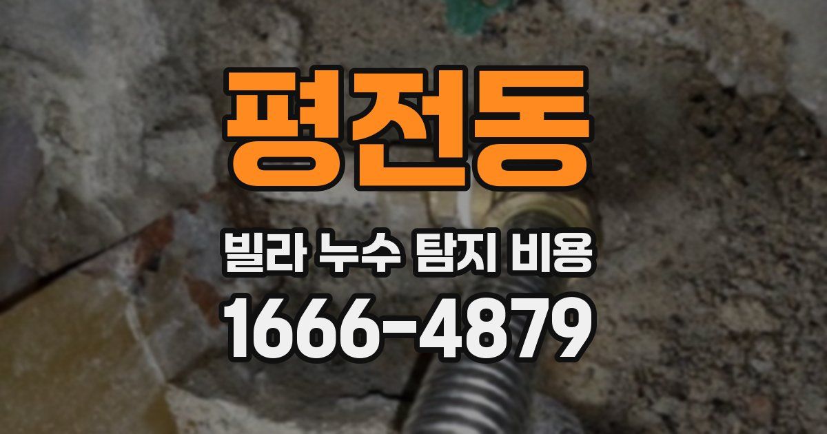 평전동 빌라 누수 탐지 비용