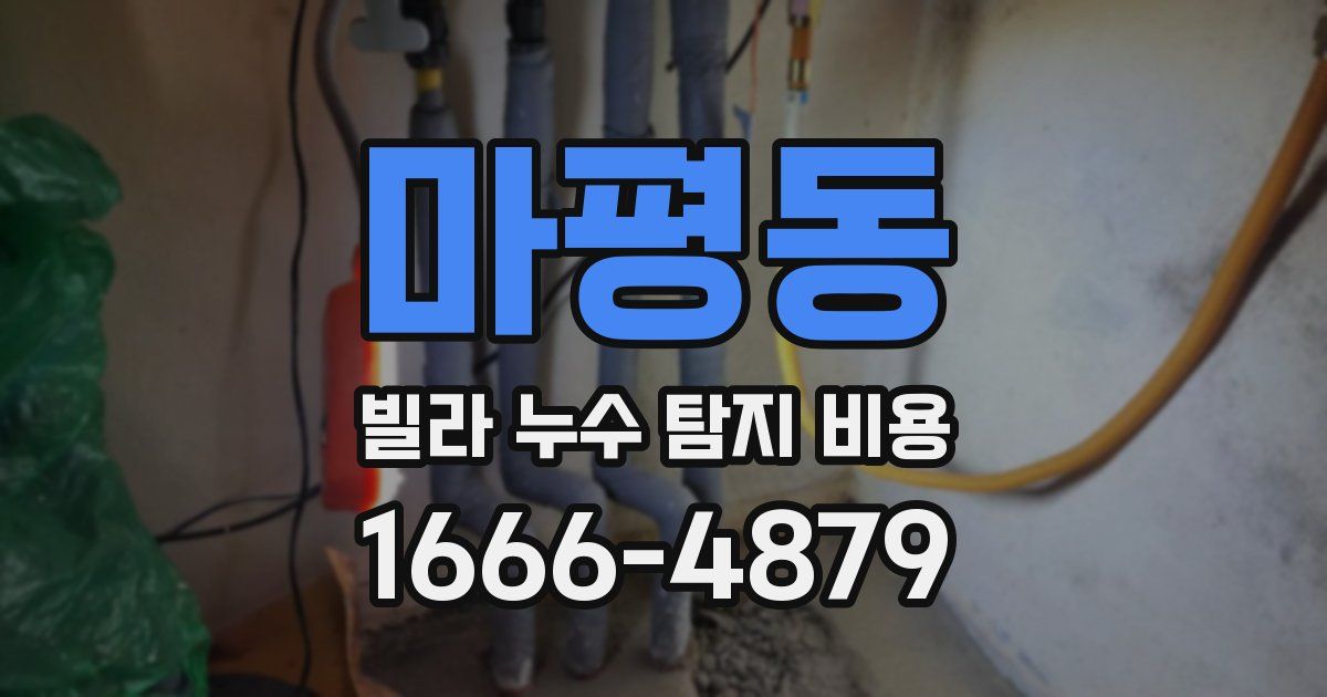 마평동 빌라 누수 탐지 비용