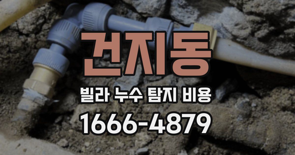 건지동 빌라 누수 탐지 비용