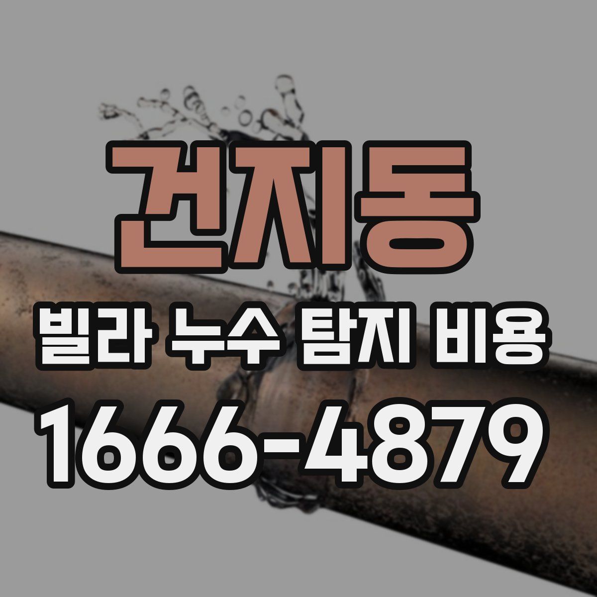 건지동 빌라 누수 탐지 비용