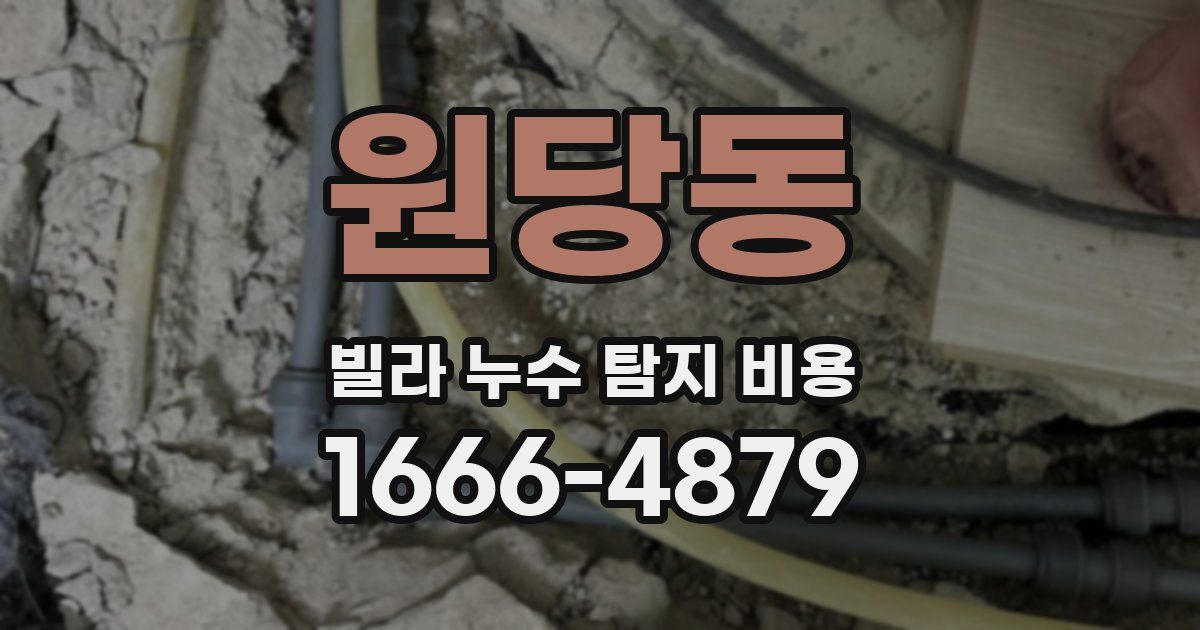 원당동 빌라 누수 탐지 비용