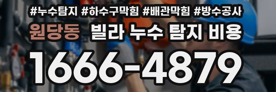원당동 빌라 누수 탐지 비용