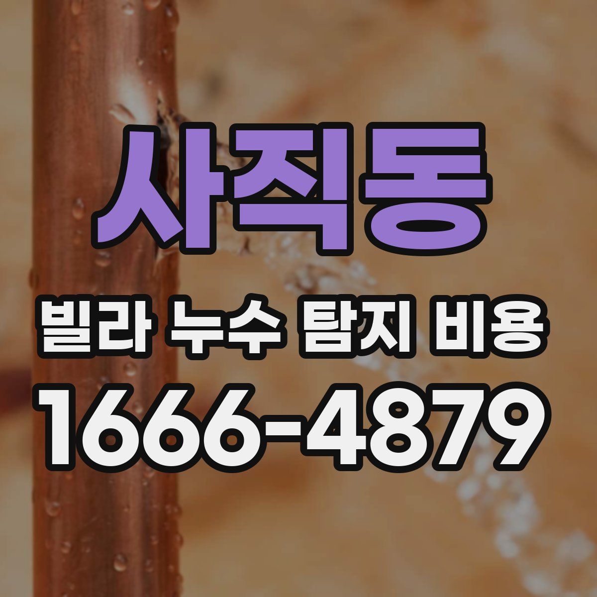 사직동 빌라 누수 탐지 비용