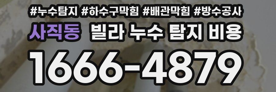 사직동 빌라 누수 탐지 비용