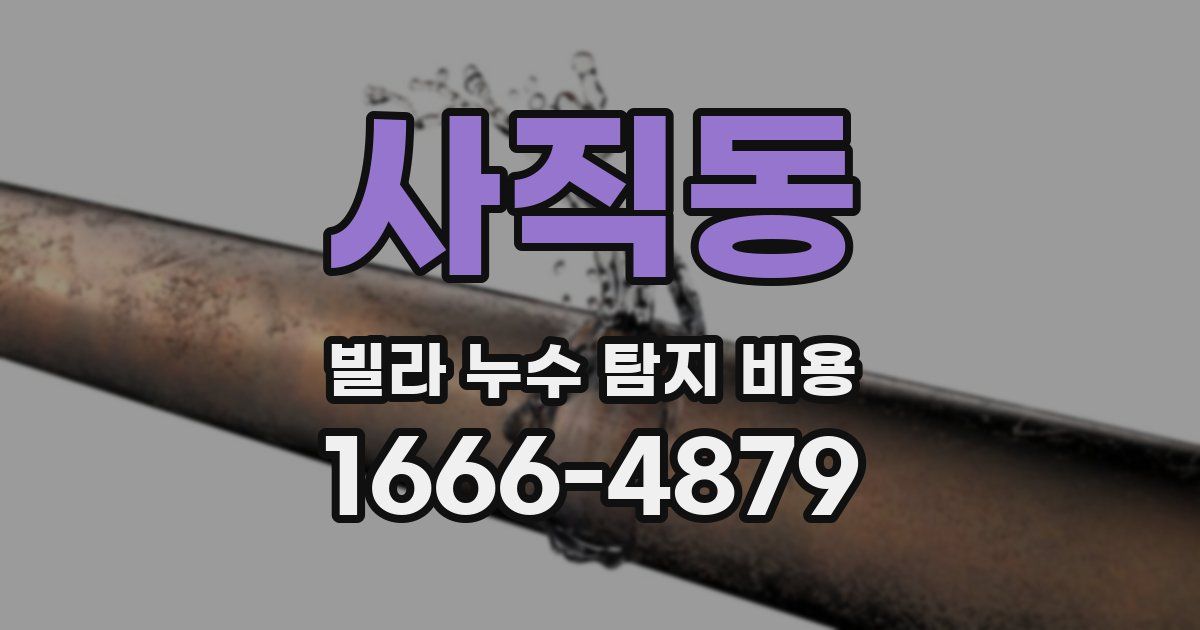 사직동 빌라 누수 탐지 비용