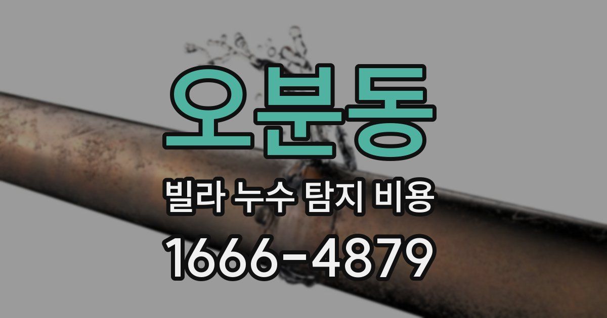 오분동 빌라 누수 탐지 비용