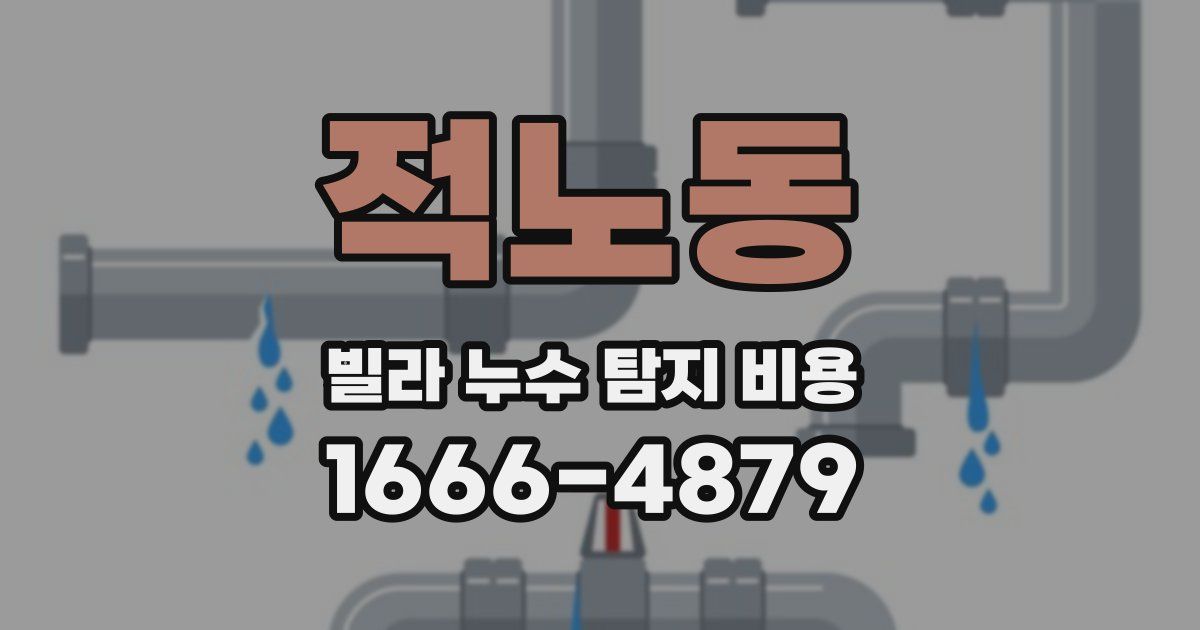 적노동 빌라 누수 탐지 비용