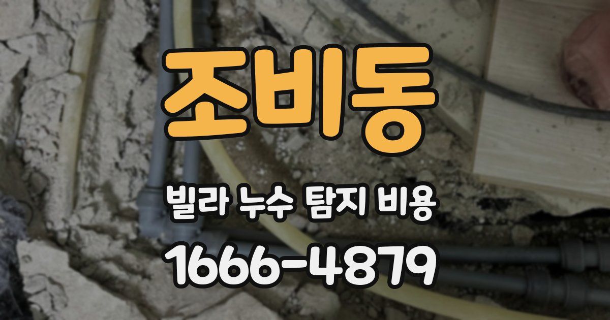 조비동 빌라 누수 탐지 비용