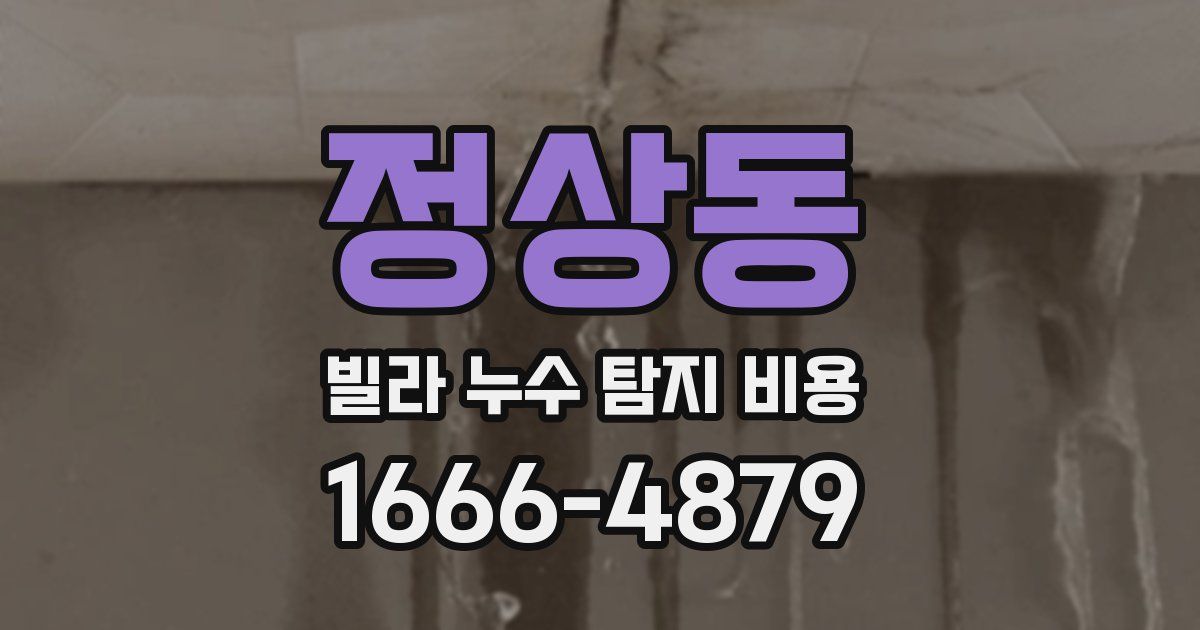 정상동 빌라 누수 탐지 비용