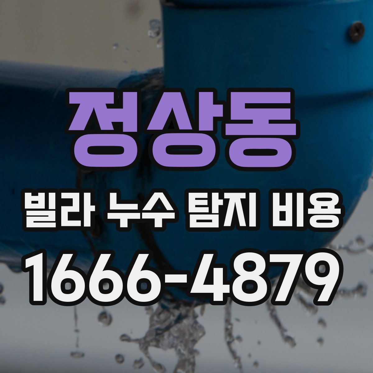 정상동 빌라 누수 탐지 비용