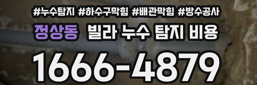 정상동 빌라 누수 탐지 비용