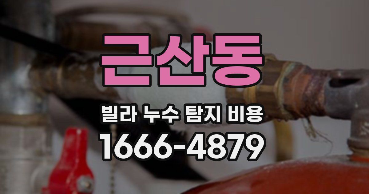 근산동 빌라 누수 탐지 비용
