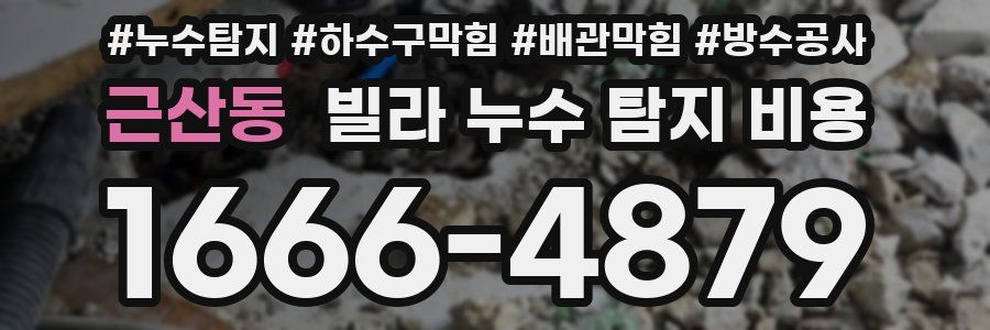 근산동 빌라 누수 탐지 비용