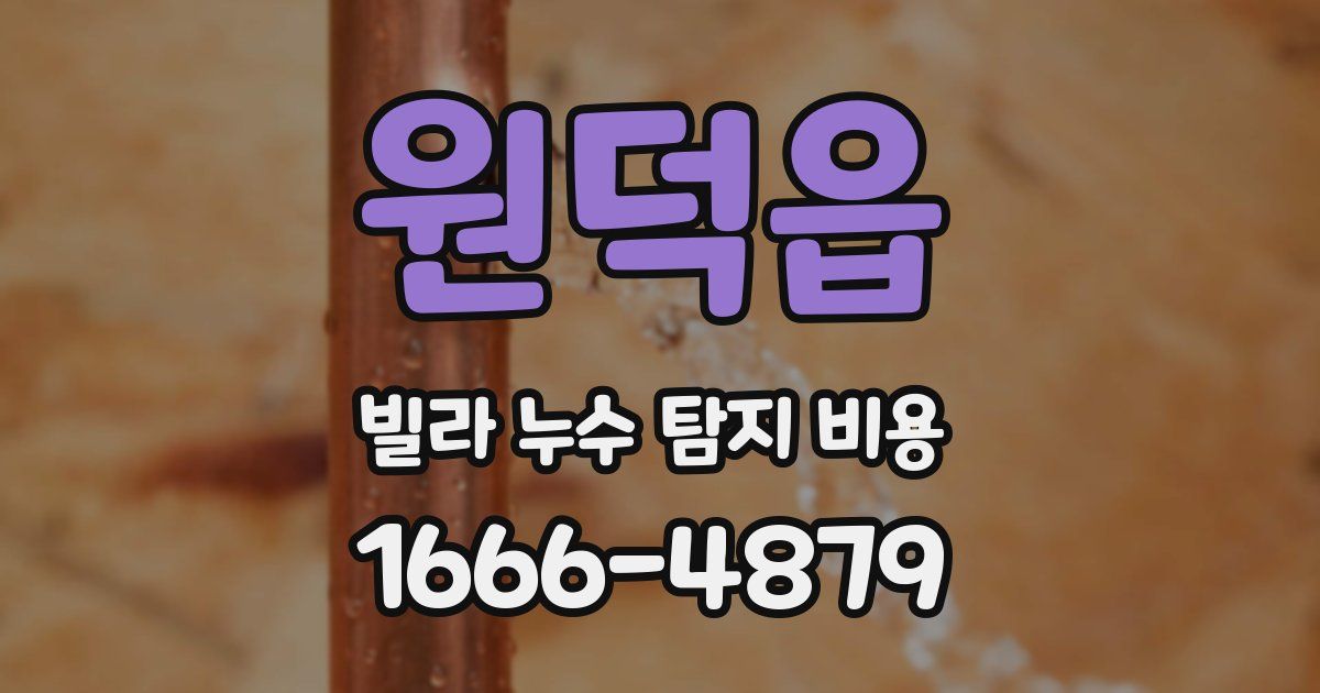 원덕읍 빌라 누수 탐지 비용