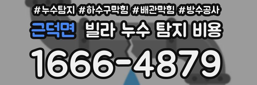 근덕면 빌라 누수 탐지 비용