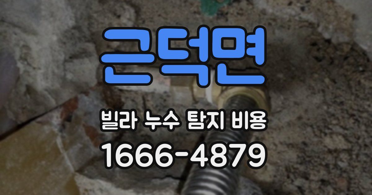 근덕면 빌라 누수 탐지 비용
