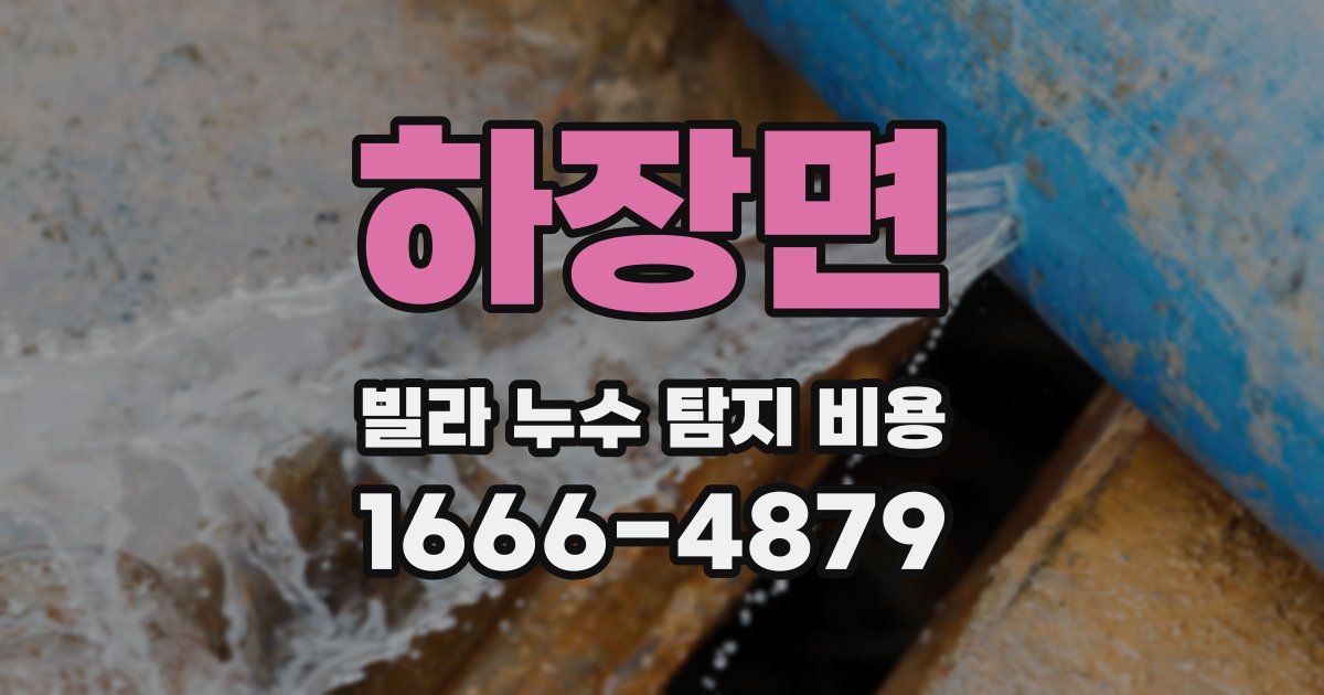 하장면 빌라 누수 탐지 비용