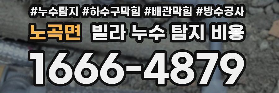 노곡면 빌라 누수 탐지 비용
