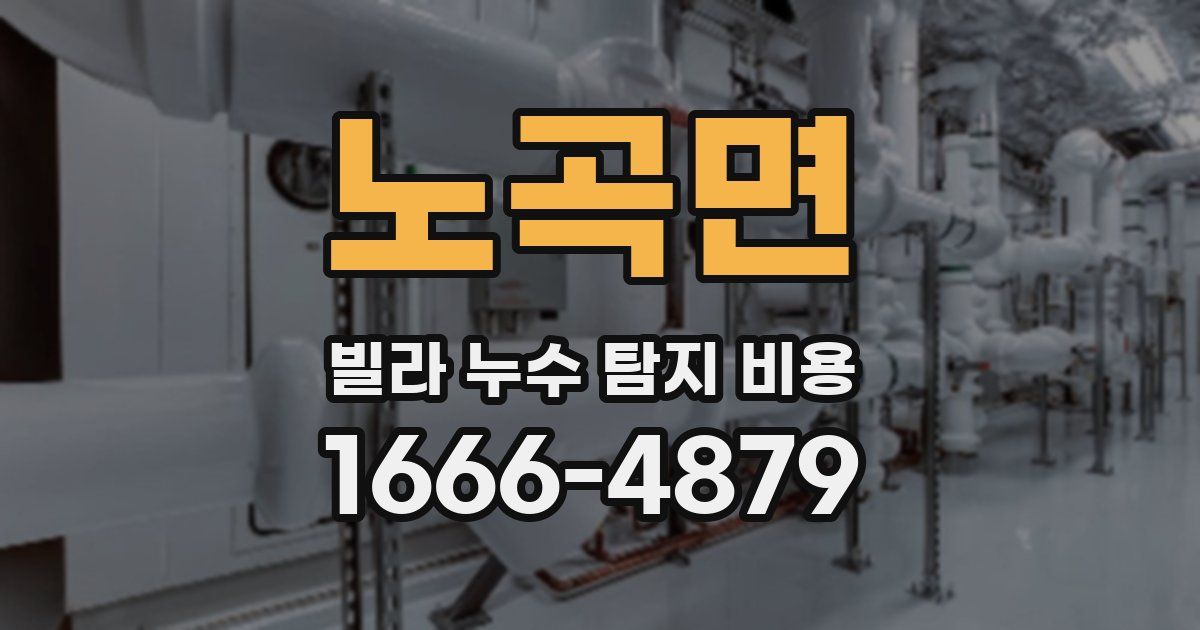 노곡면 빌라 누수 탐지 비용