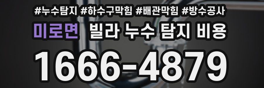 미로면 빌라 누수 탐지 비용
