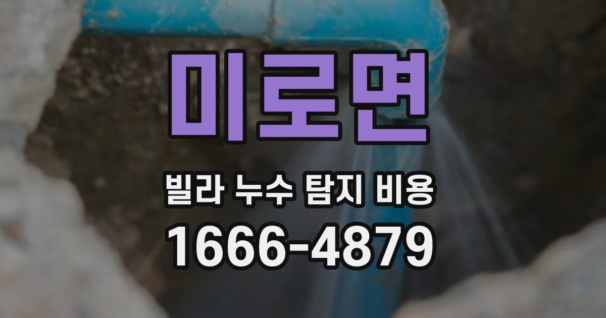 미로면 빌라 누수 탐지 비용