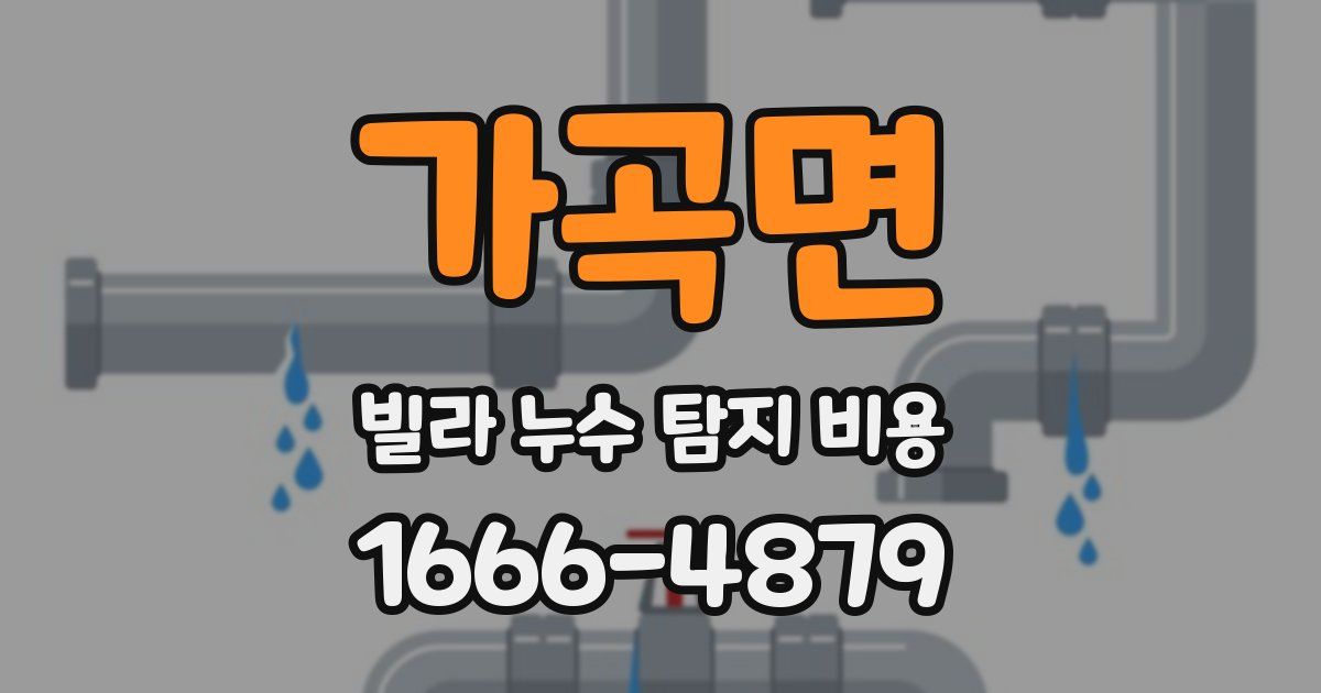가곡면 빌라 누수 탐지 비용