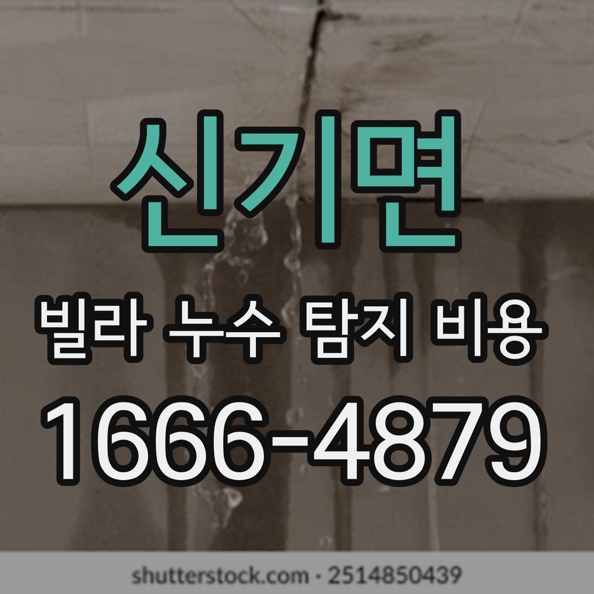 신기면 빌라 누수 탐지 비용
